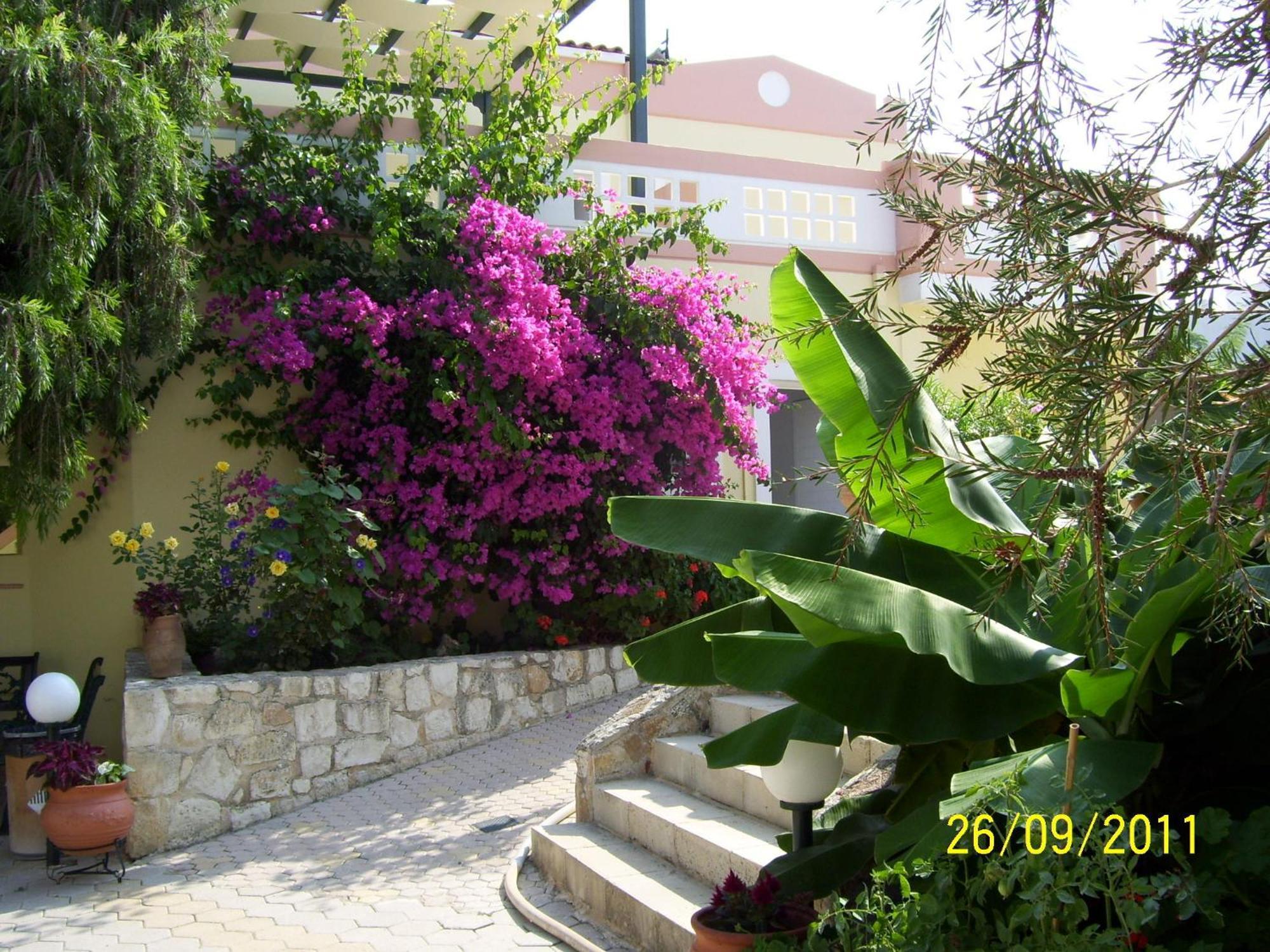 Apelia Residence Agia Marina Exteriör bild